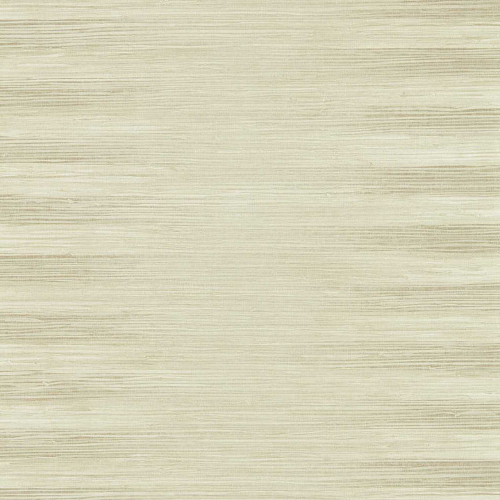 Kensington Grasscloth - Paris Grey