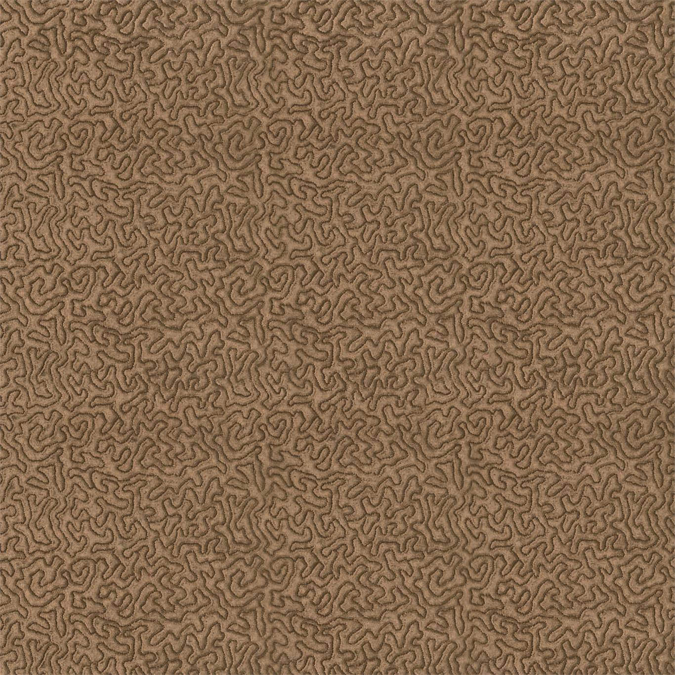 Maze - Maze Antelope