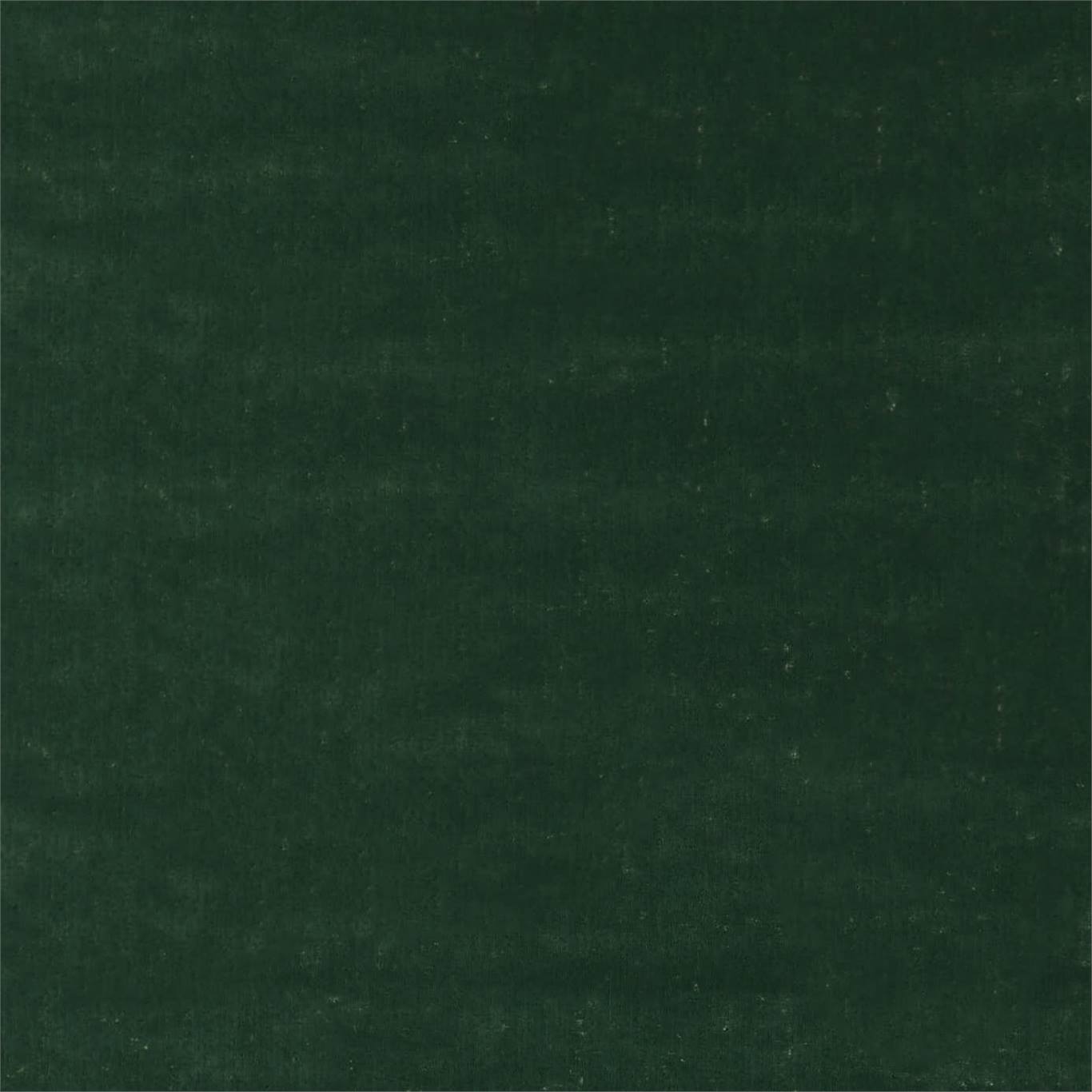 Curzon - Huntsman Green