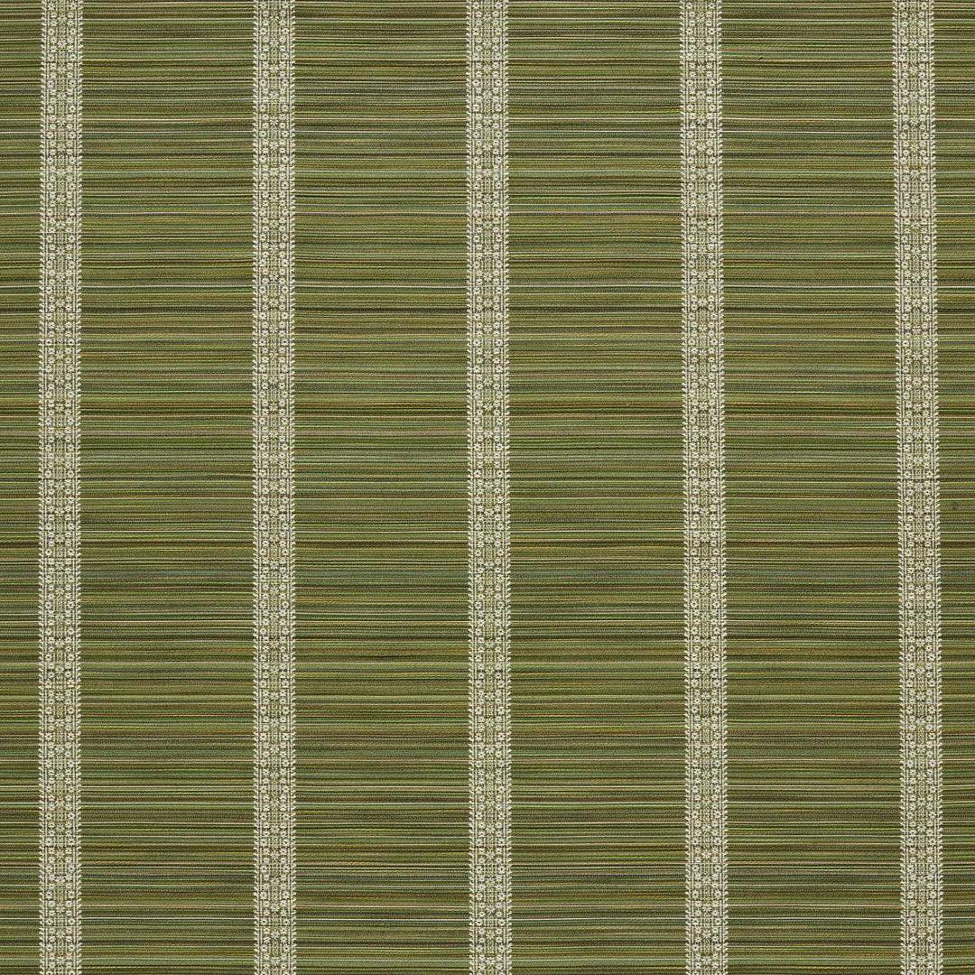 Bellagio Stripe - Evergreen