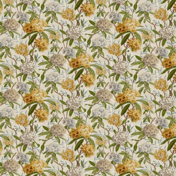 Azalea Path - Primrose / Evergreen