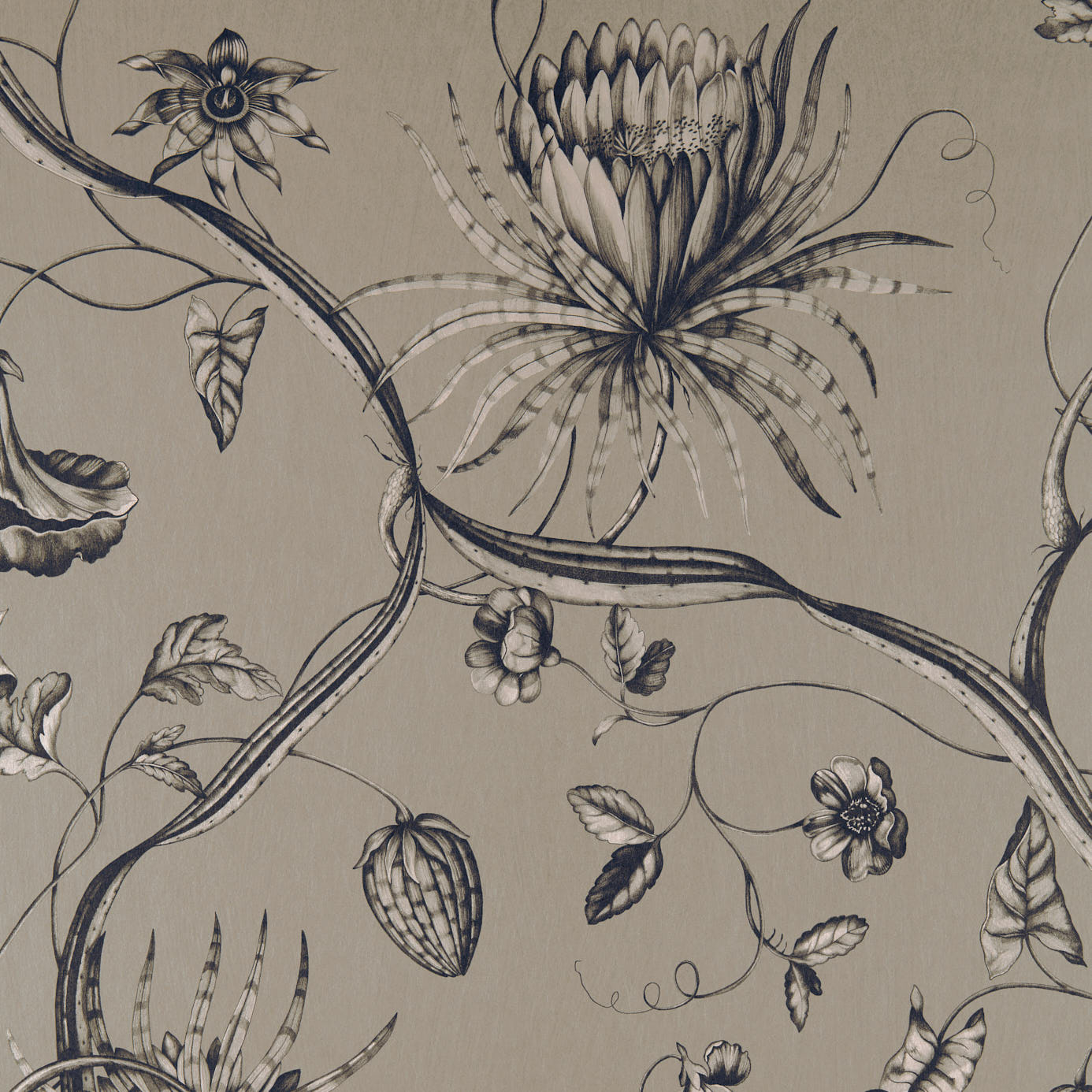 Phaedra - Antique Bronze