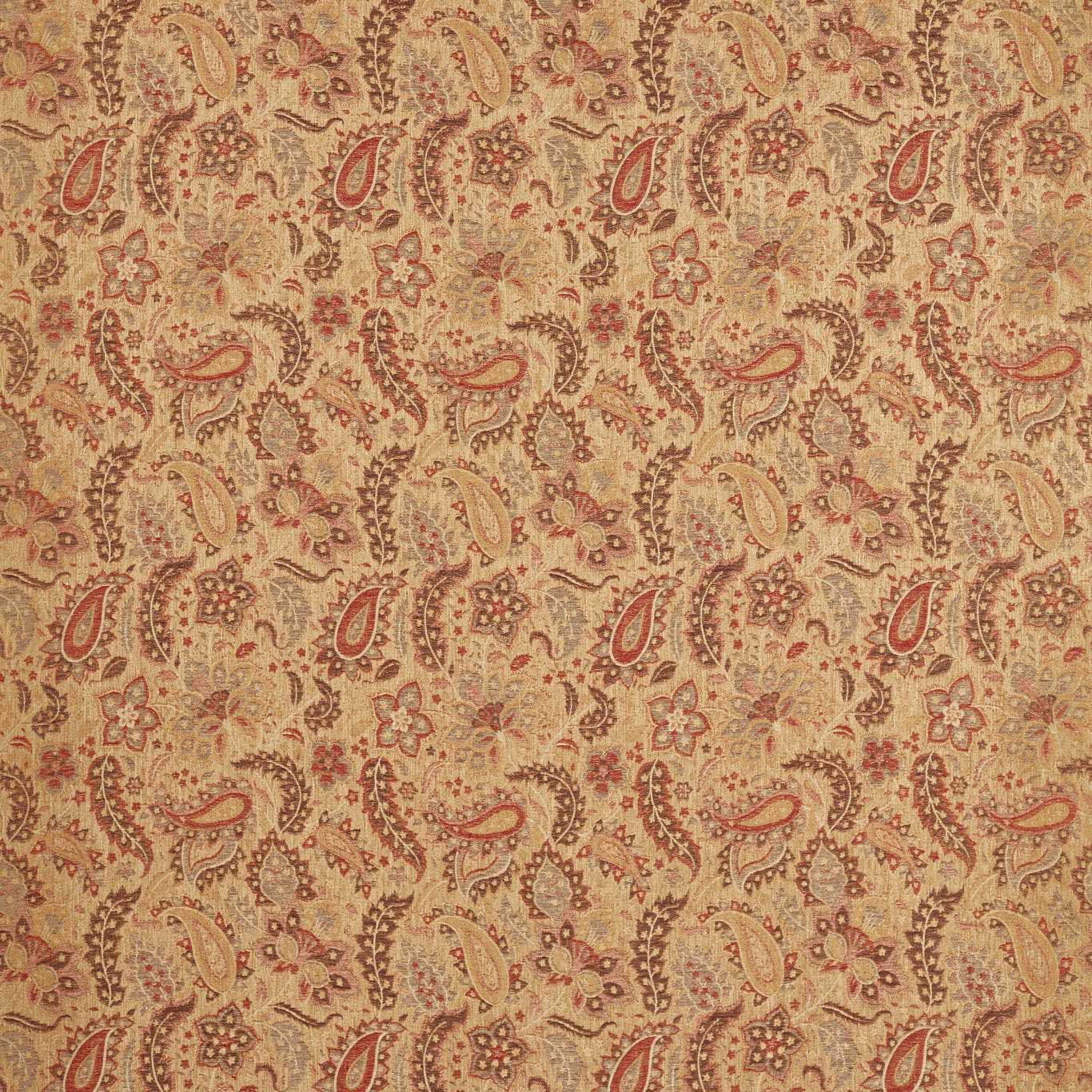 Caserta Paisley - Antique Gold