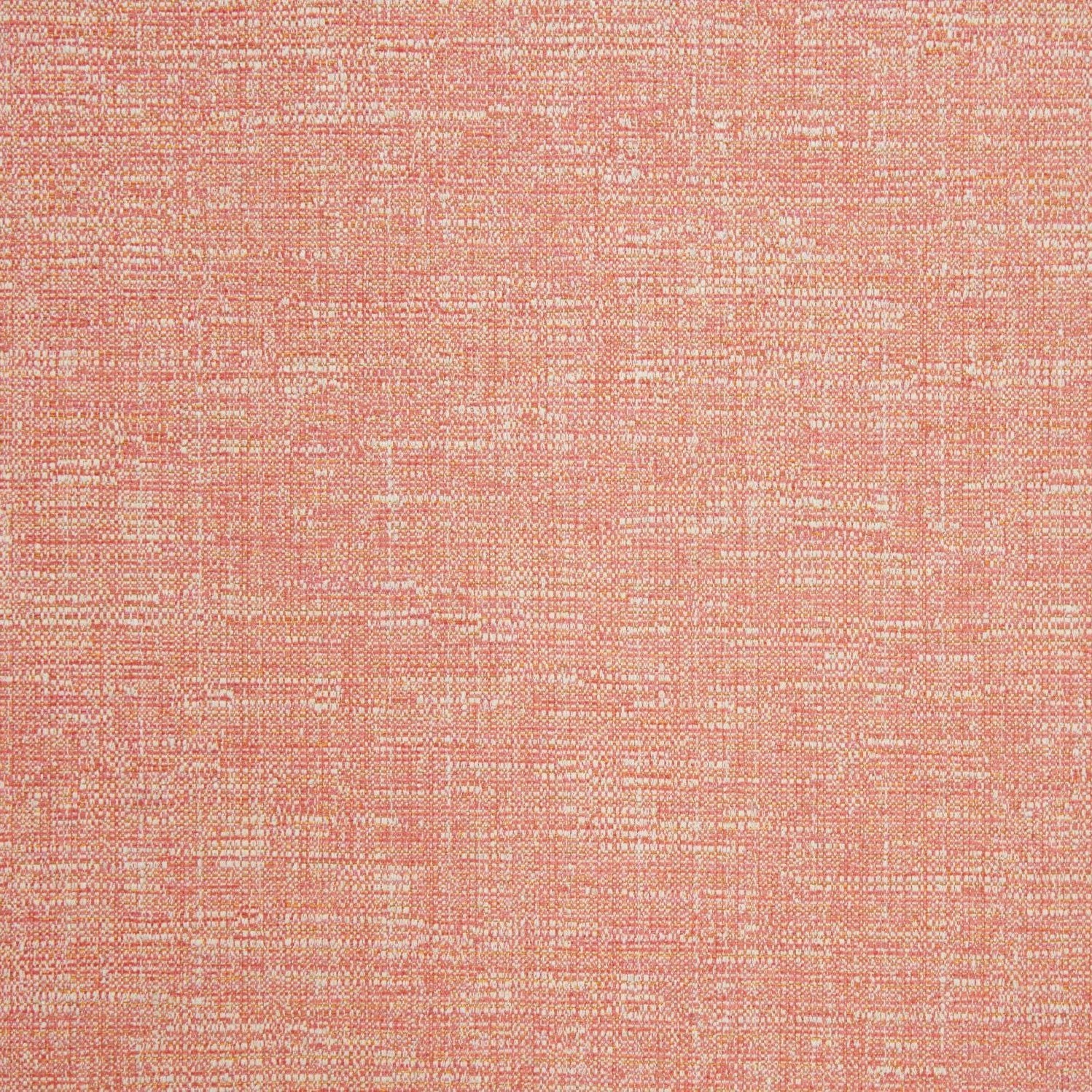 Avellino - Rose Coral