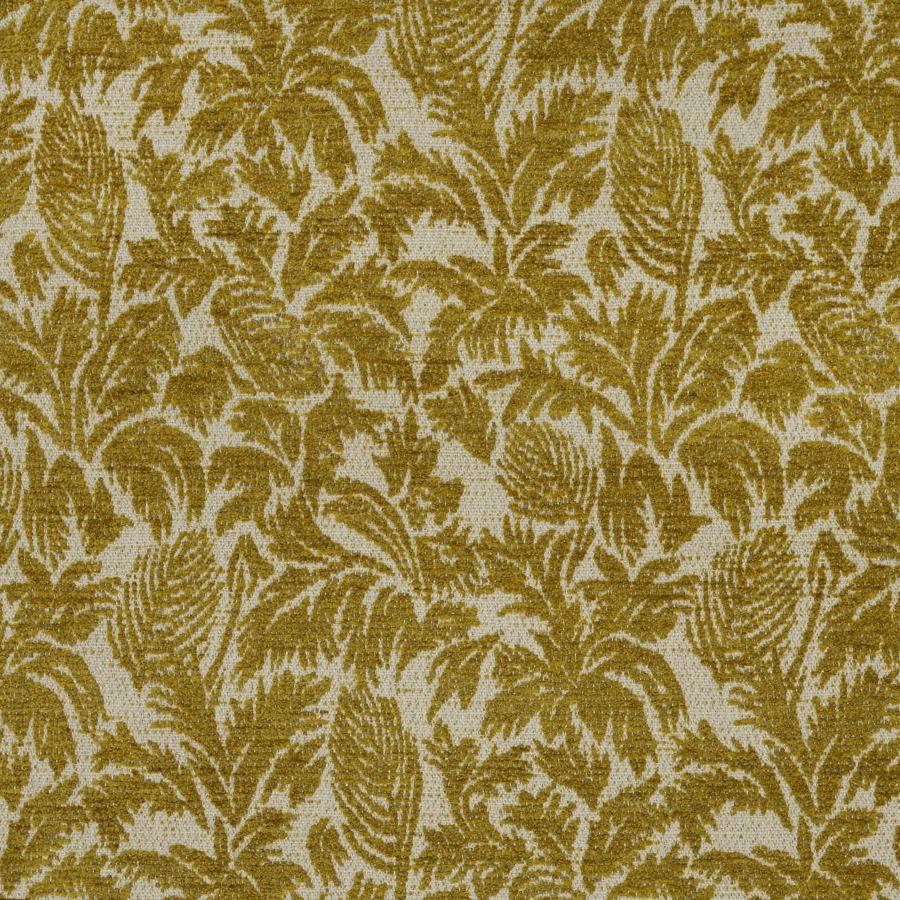 Parlor Palms - Chartreuse