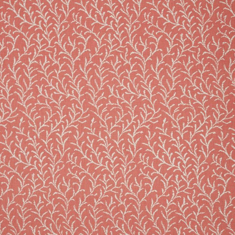 Samphire - Coral