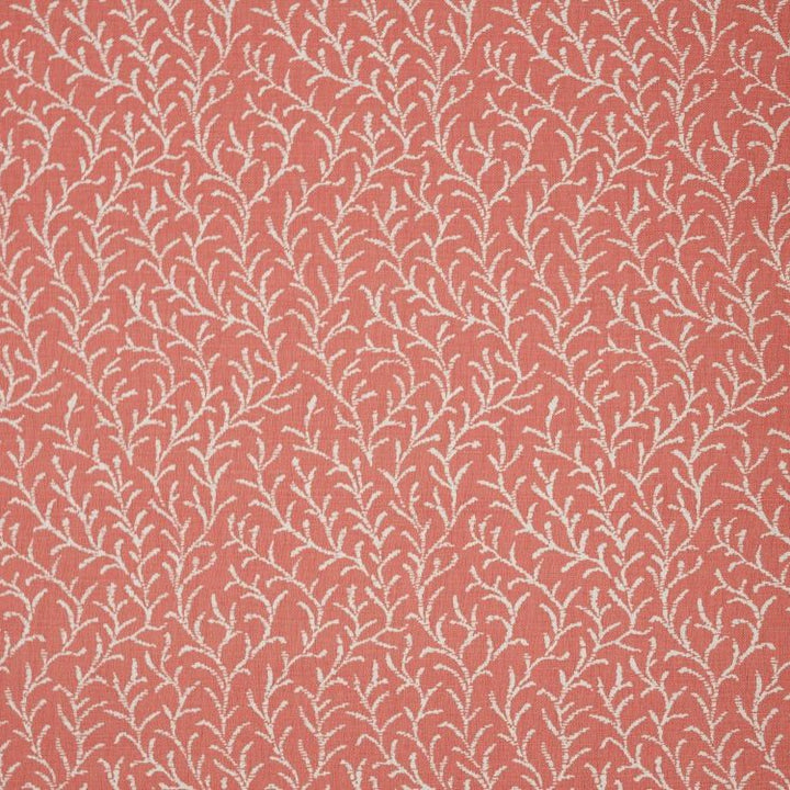 Samphire - Coral