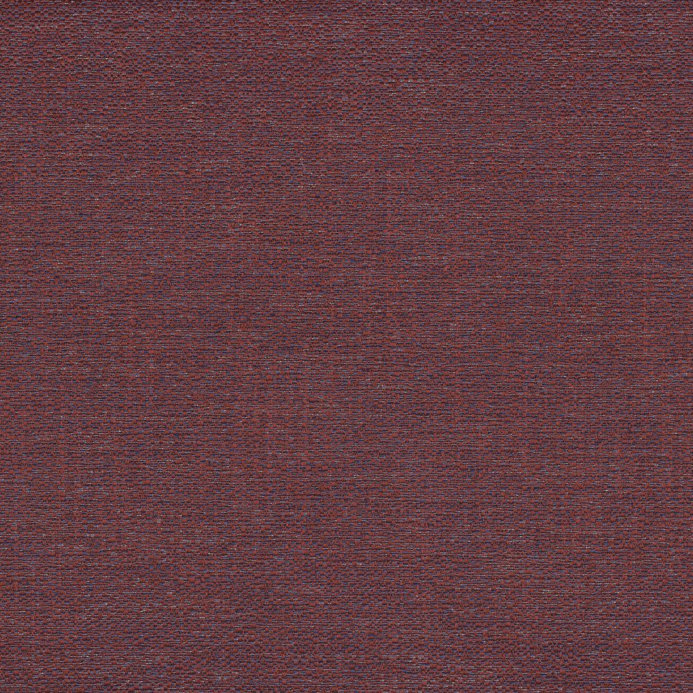 Interview Lie De Vin