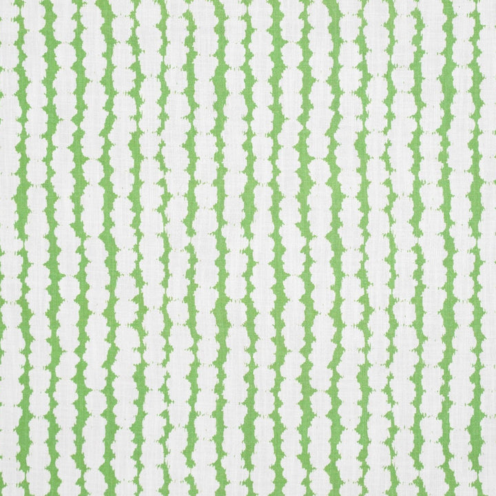 Baccello - Mangetout