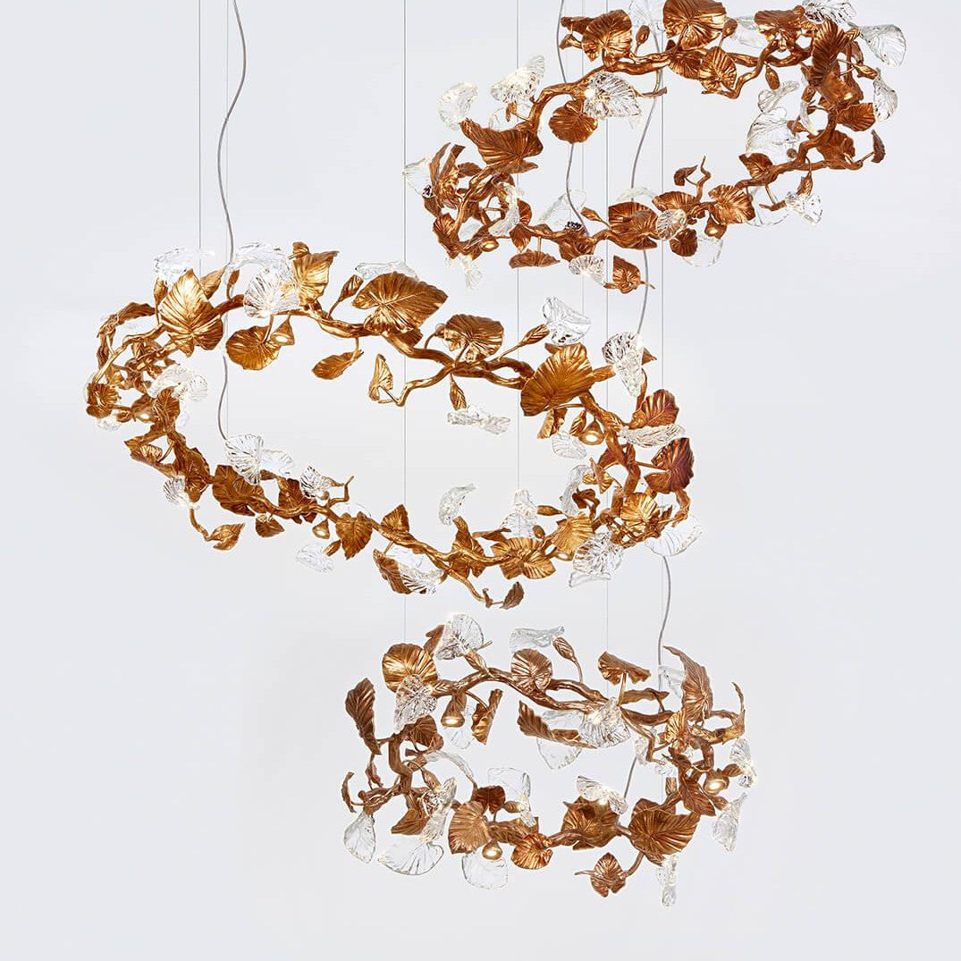 Calathea Aurea Medium