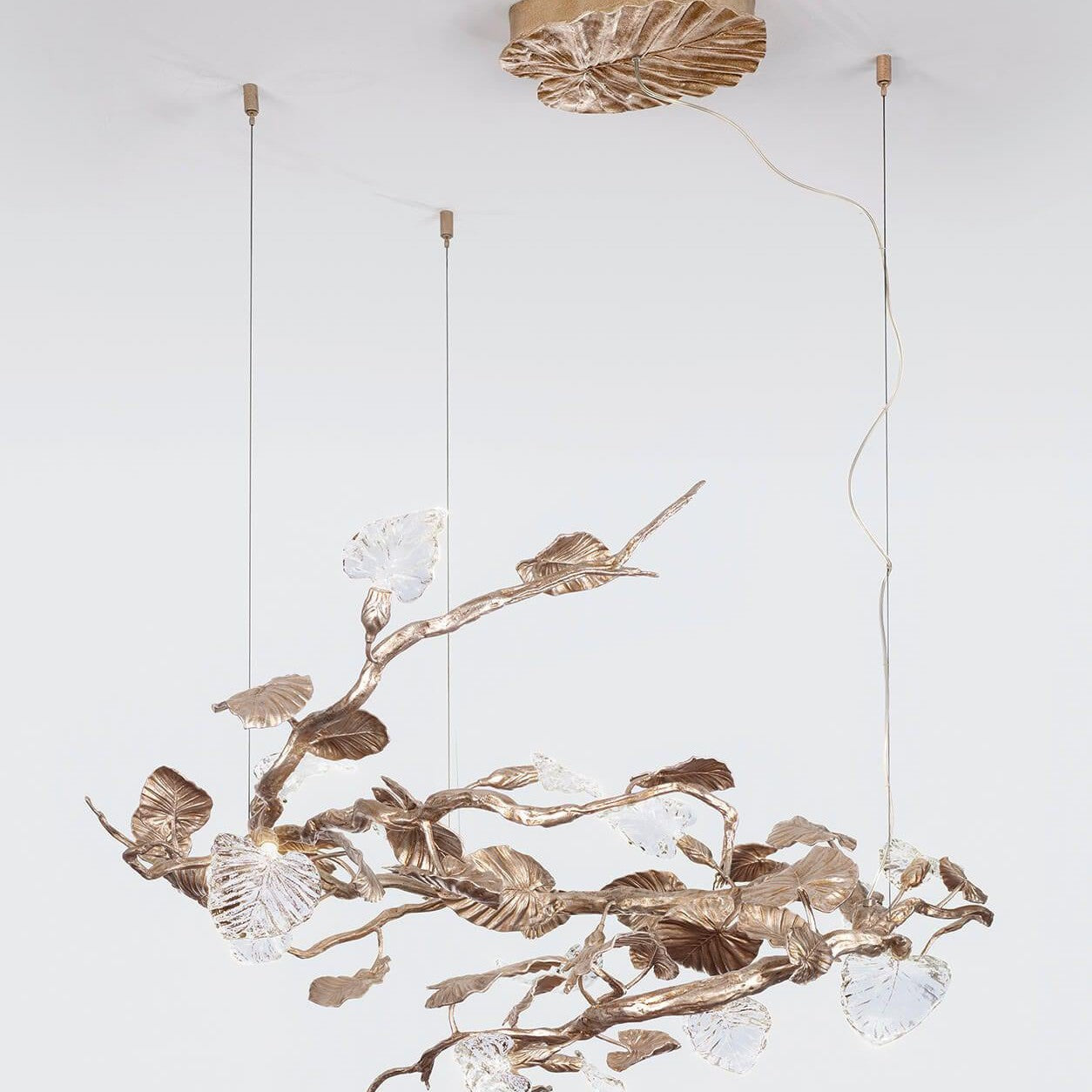 Calathea Horizontal Gyde Medium