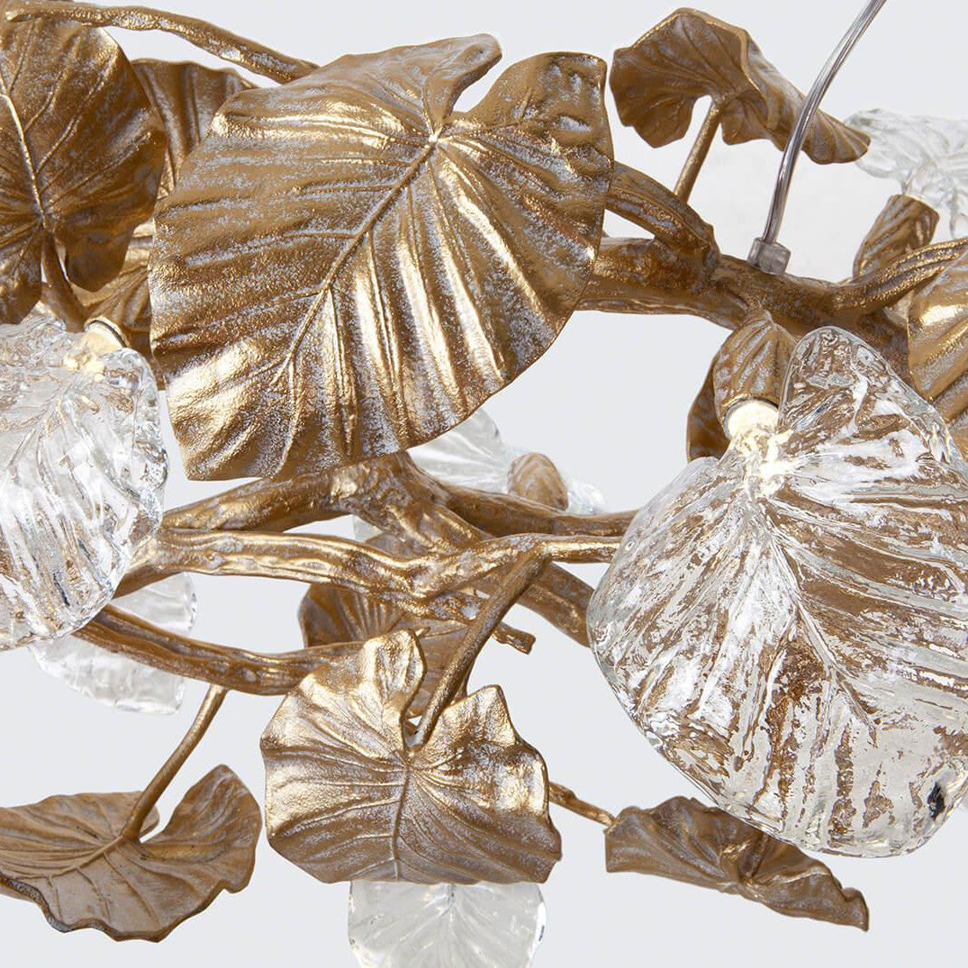 Calathea Medallion Large