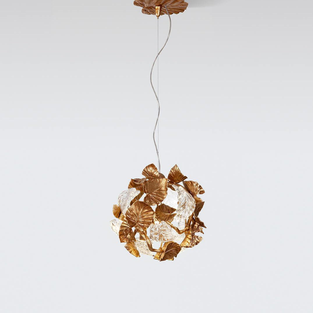 Calathea Orbifolia Medium