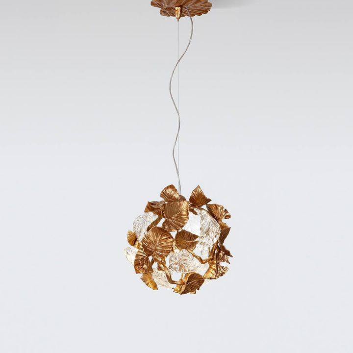 Calathea Orbifolia Medium