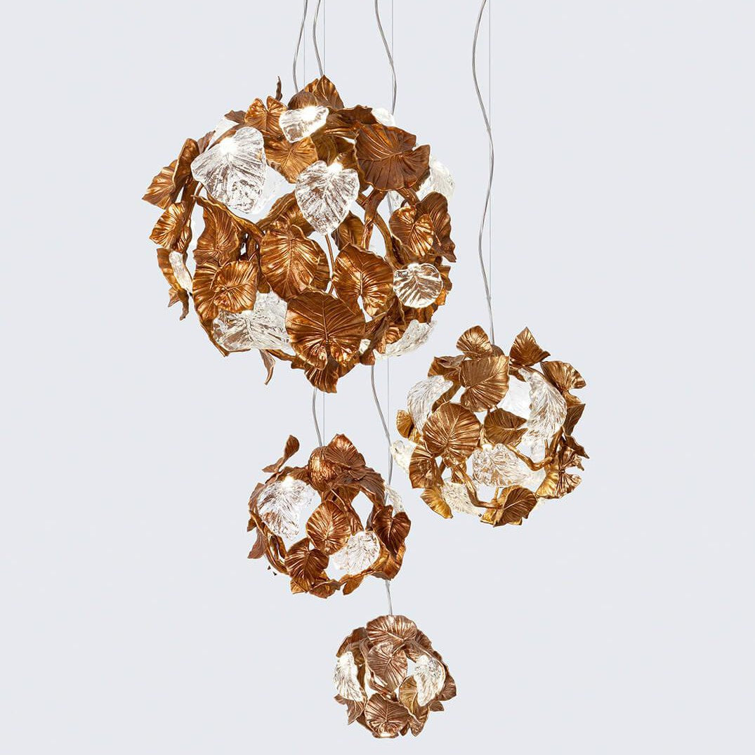 Calathea Orbifolia Small