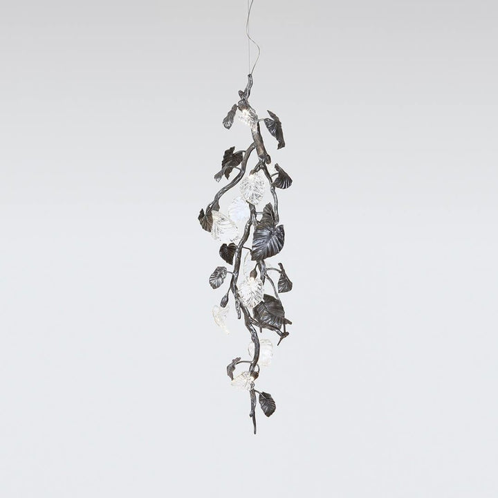 Calathea Ornata Small