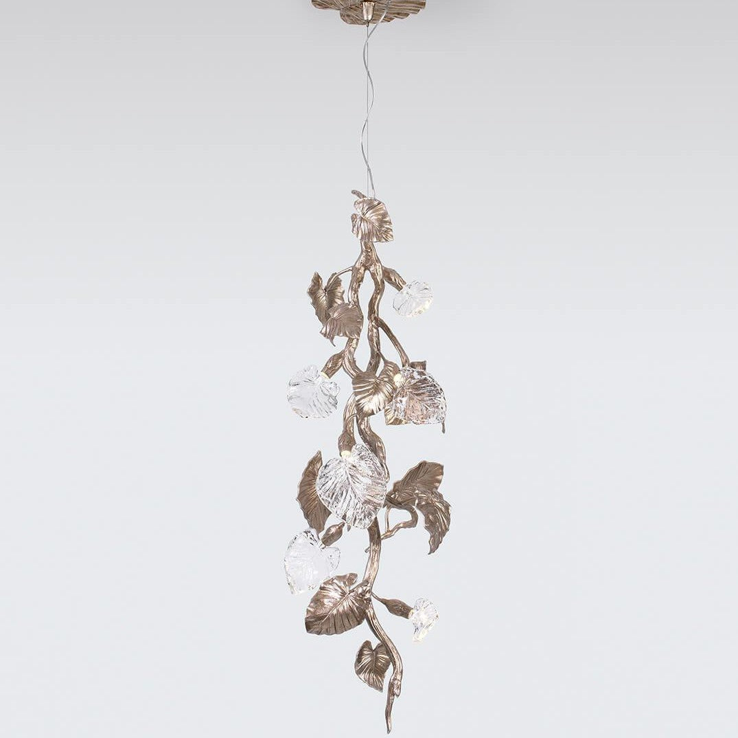 Calathea Ornata Extra Small