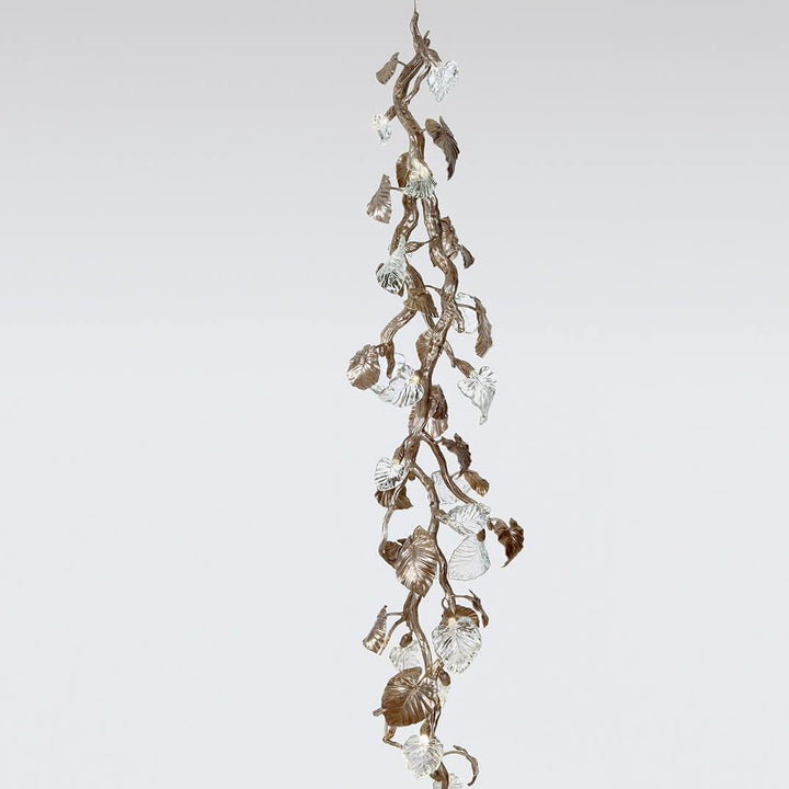 Calathea Ornata Large