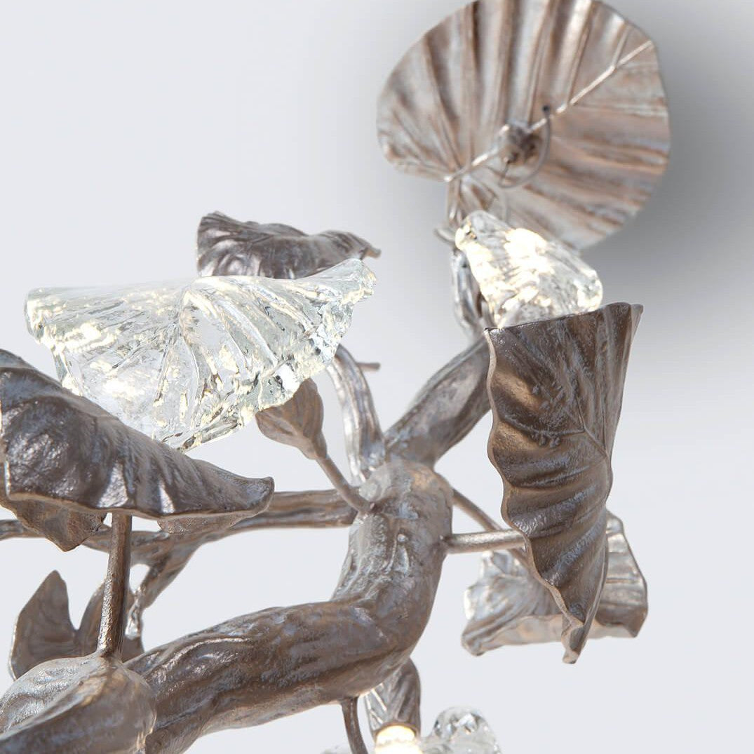 Calathea Ornata Large