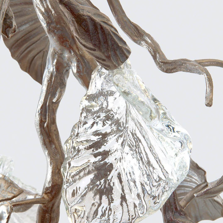 Calathea Ornata Extra Small