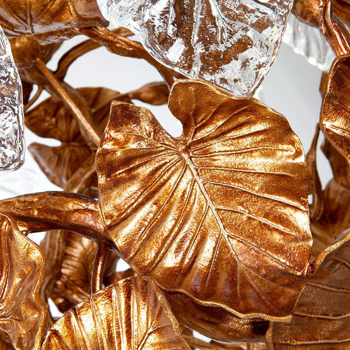 Calathea Makoyana Small