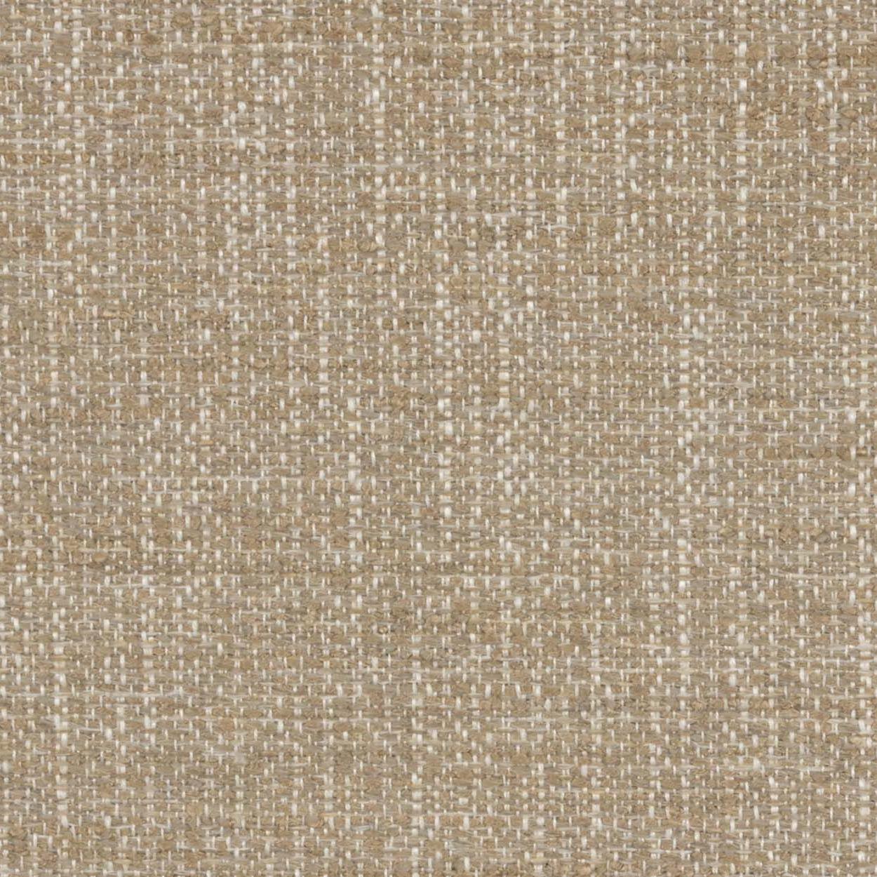 Cascadia Avenue - Pale Taupe