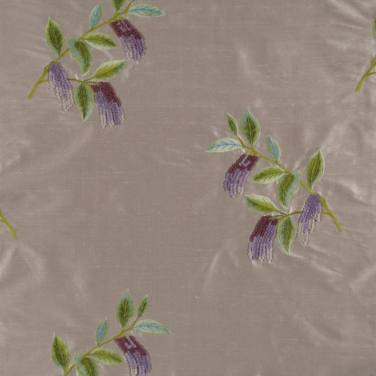 Corylus - Lilac / Lime