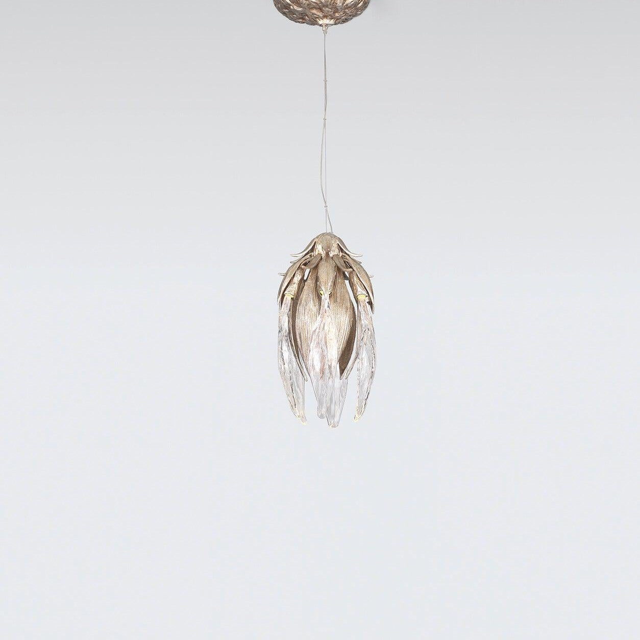 Dandelion Cynara Small