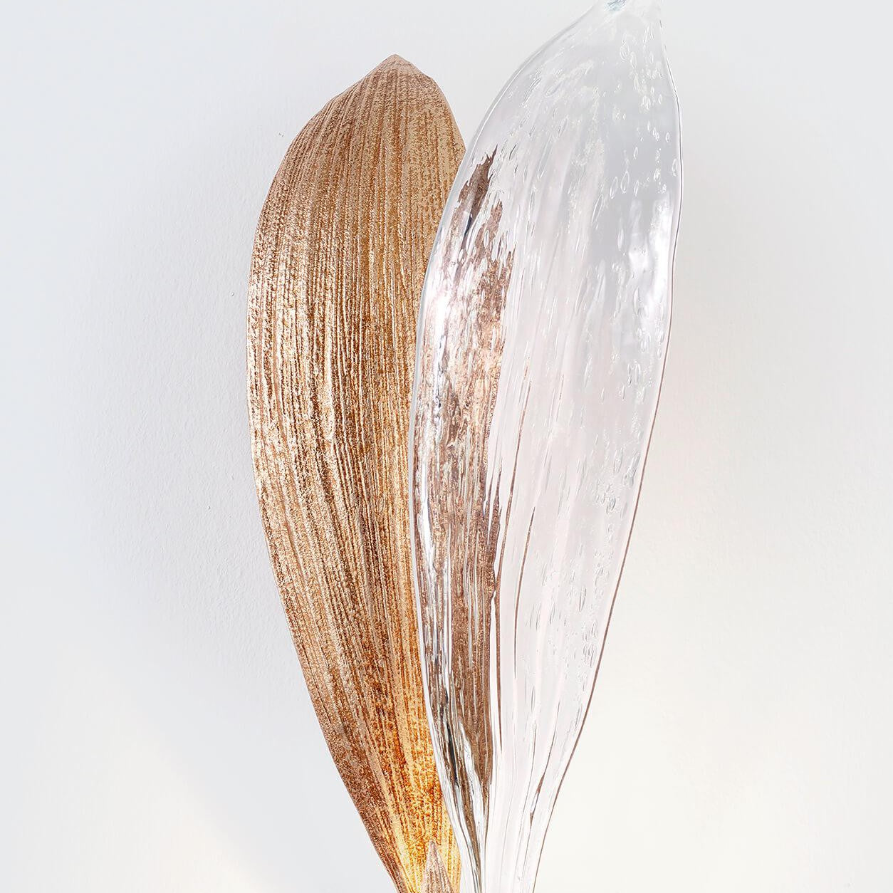 Dandelion Cypsela Duo