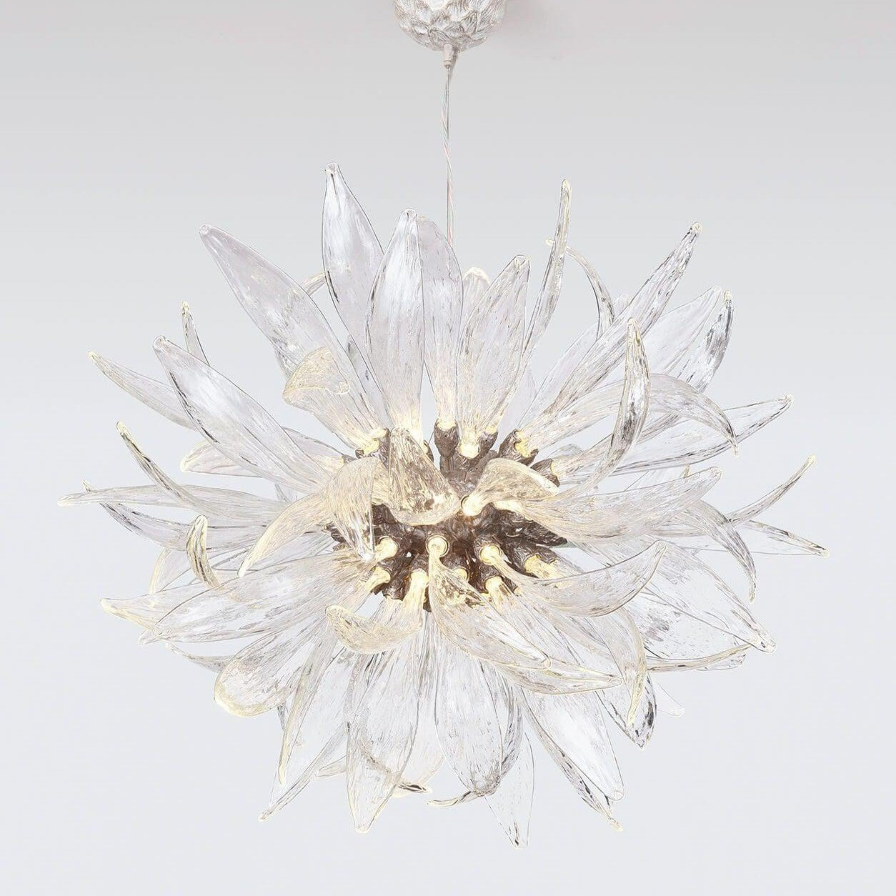 Dandelion Floccus Large