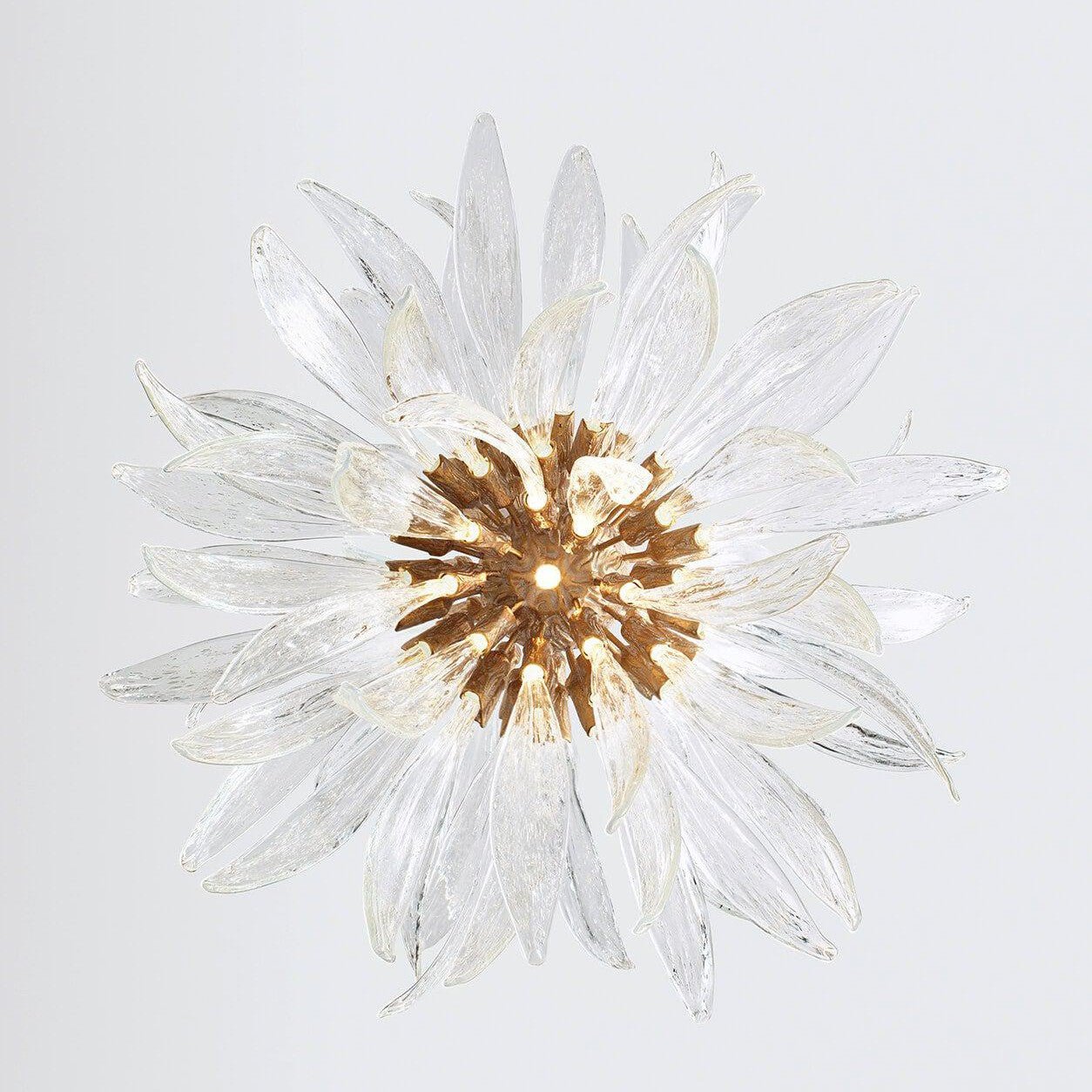 Dandelion Floccus Medium