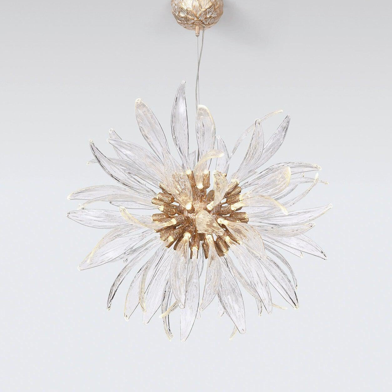 Dandelion Floccus Medium