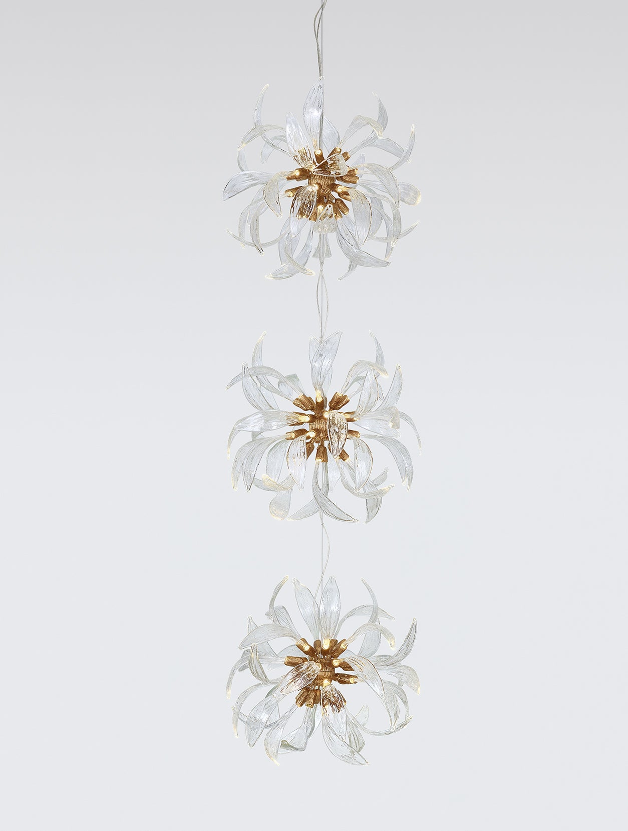 Dandelion Floccus Triplet