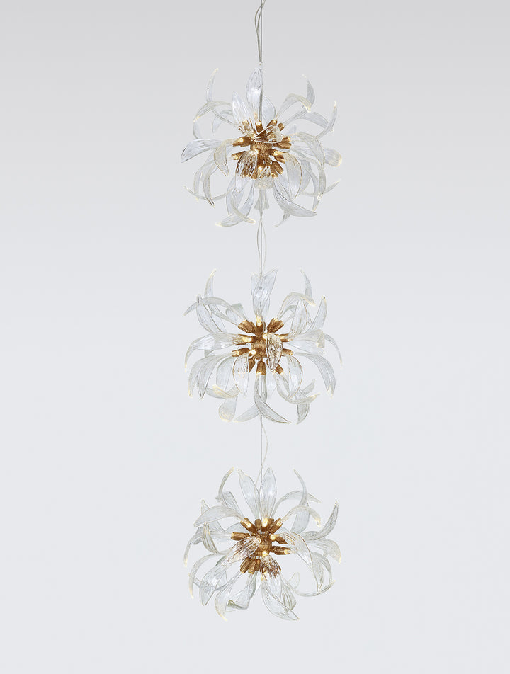 Dandelion Floccus Triplet