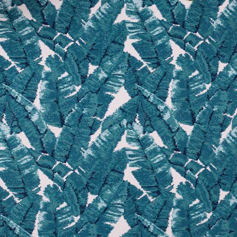 Yucca - Sapphire