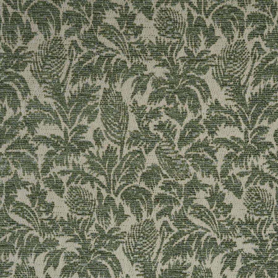 Parlor Palms - Artichoke