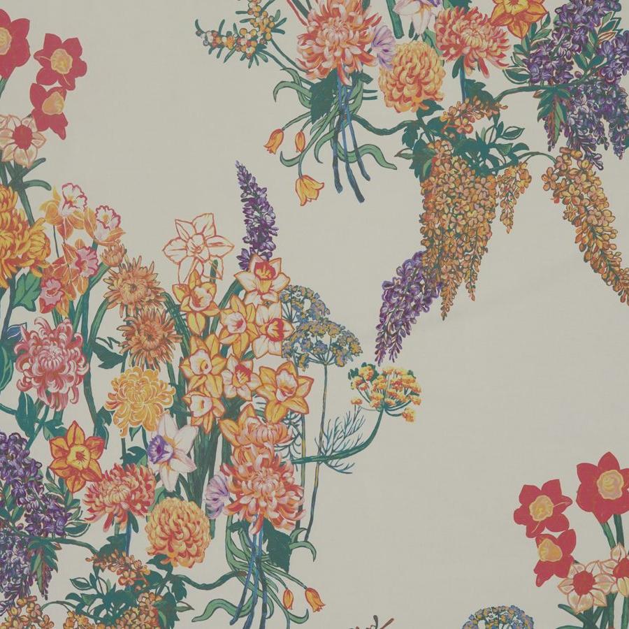 Prima Vera - Marigold