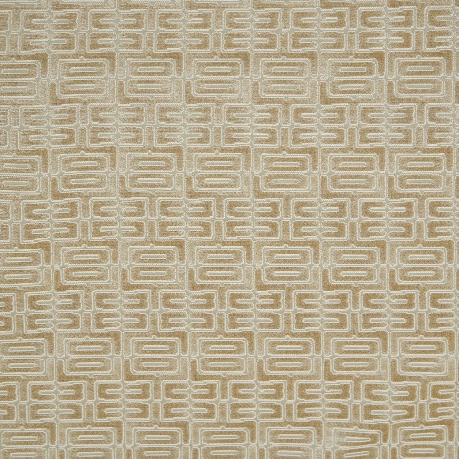 Labyrinth Velvet - Parchment