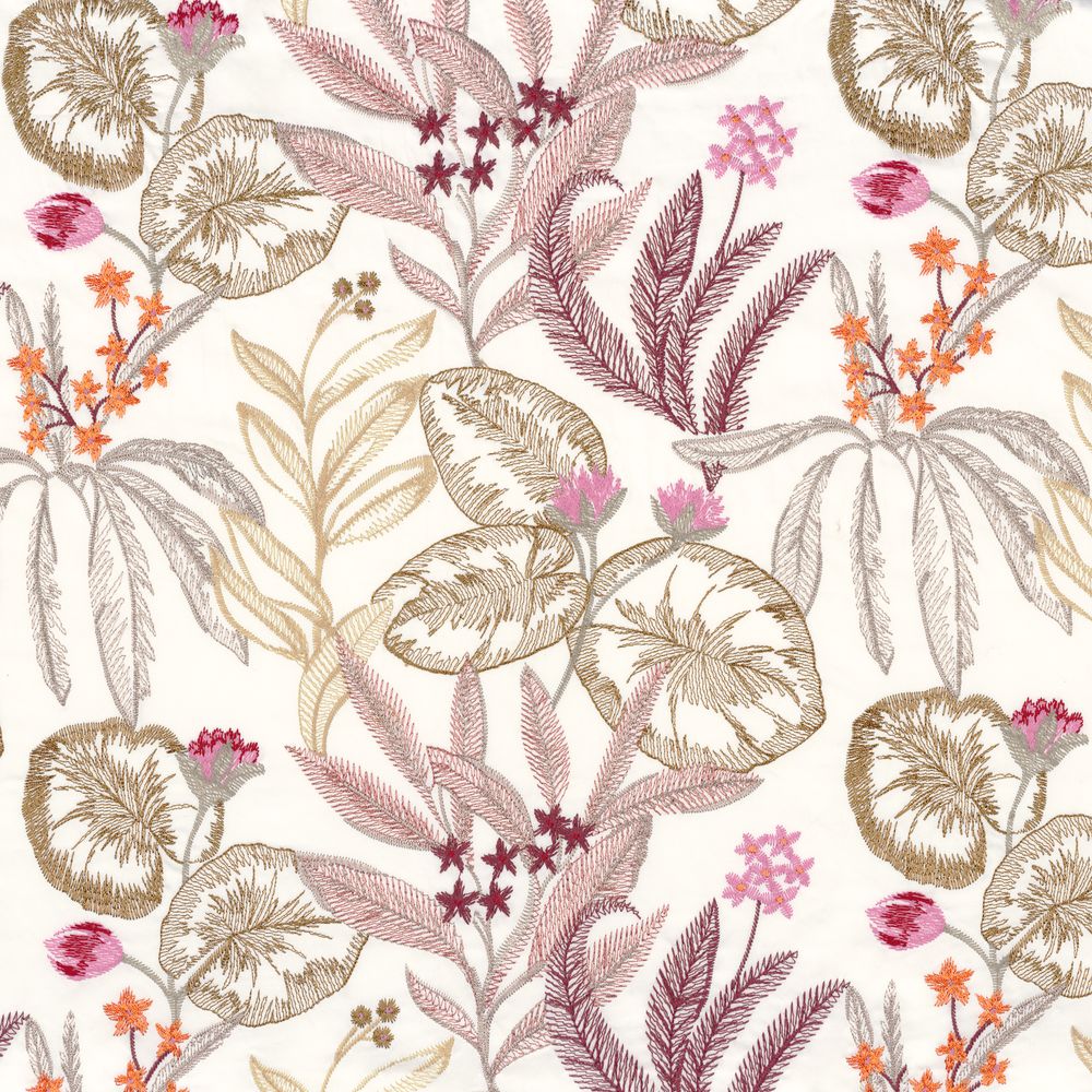 Pacifique Blush