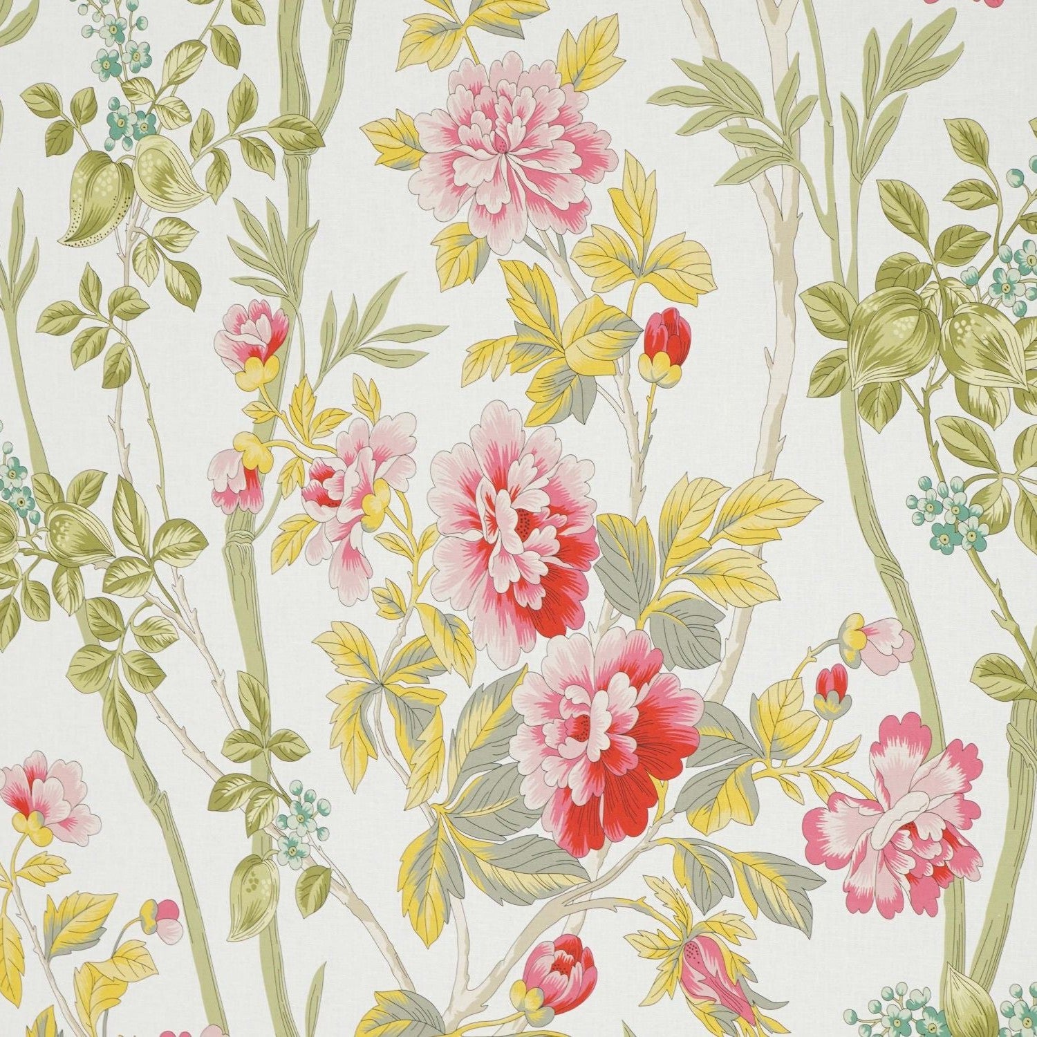 Summer Peony - Bloom