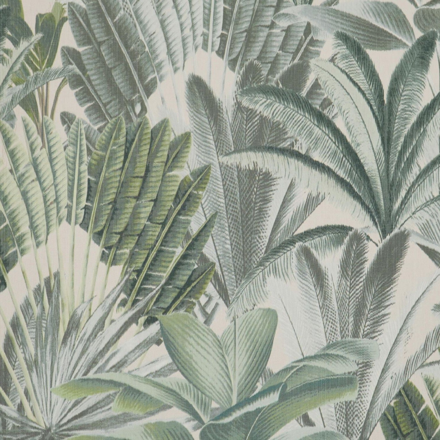 New Bermuda - Palm Beach