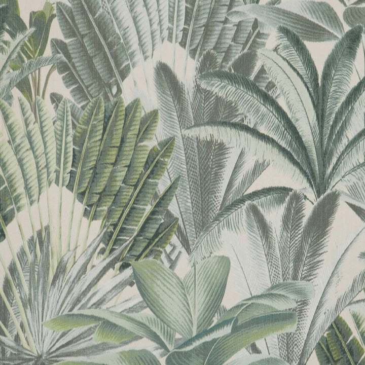 New Bermuda - Palm Beach