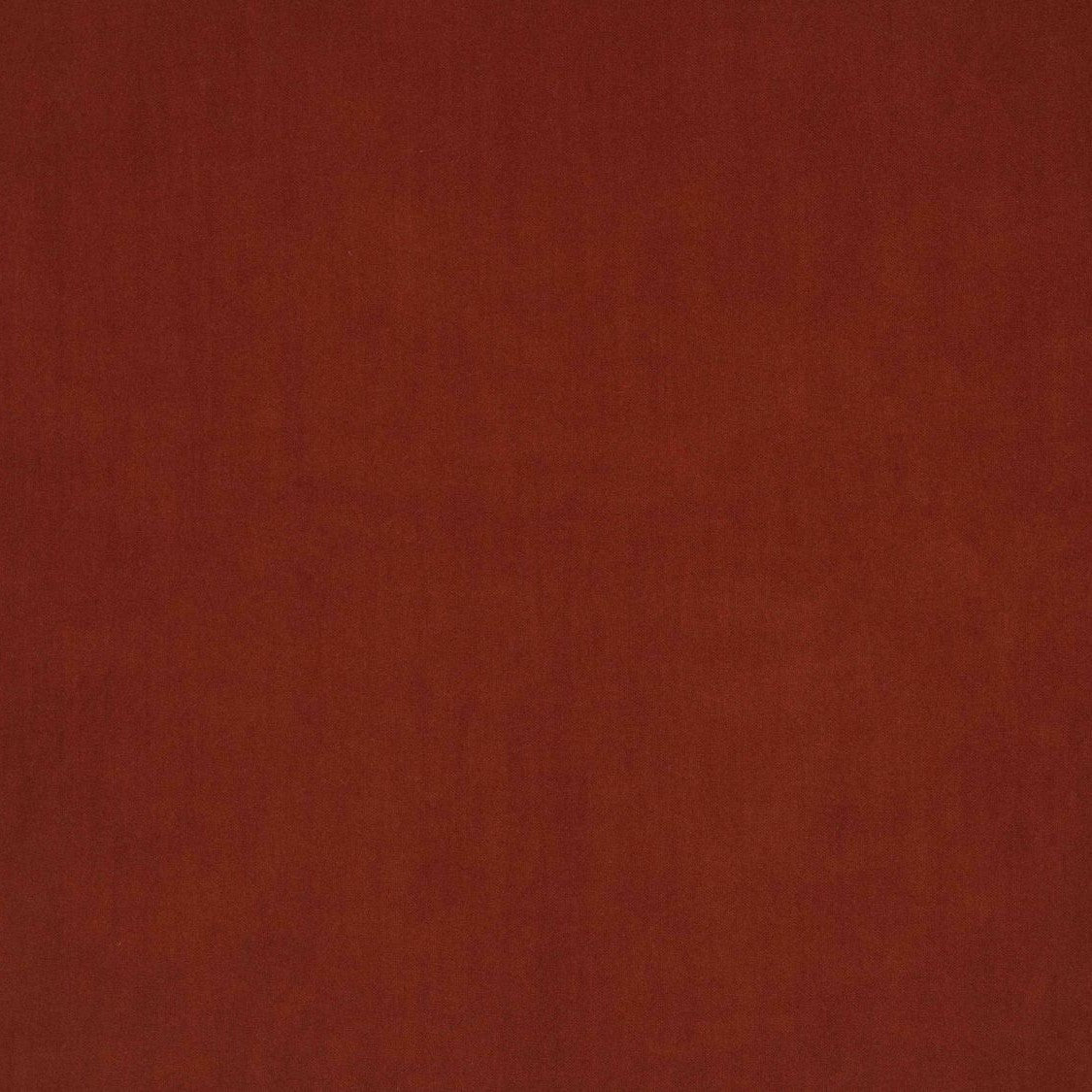 Savoy - Chili Pepper