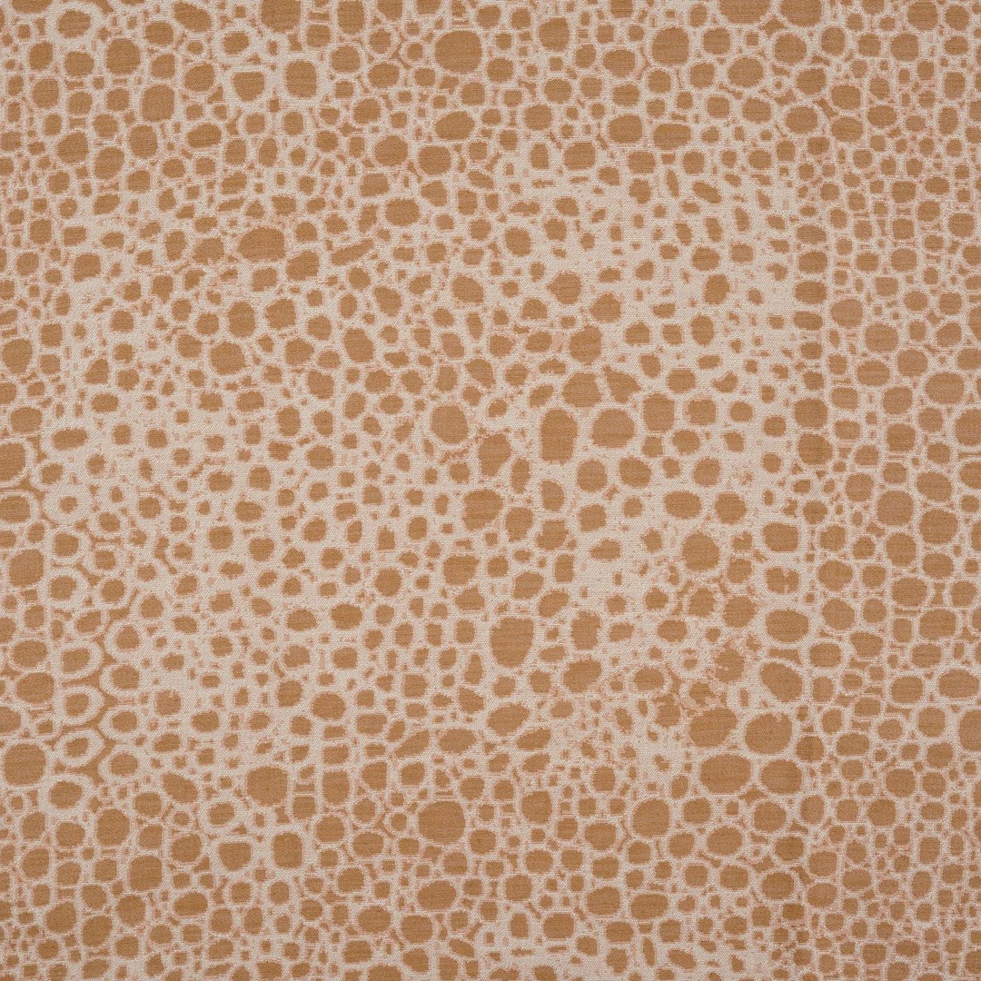 Wild Complexions - Wild Hide
