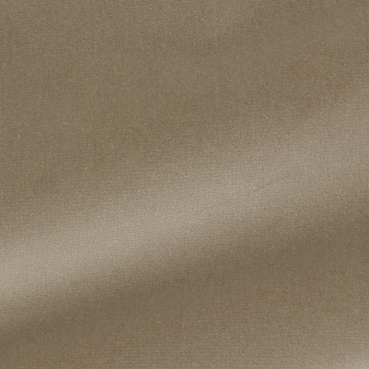 Glant Cotton Velvet - Taupe