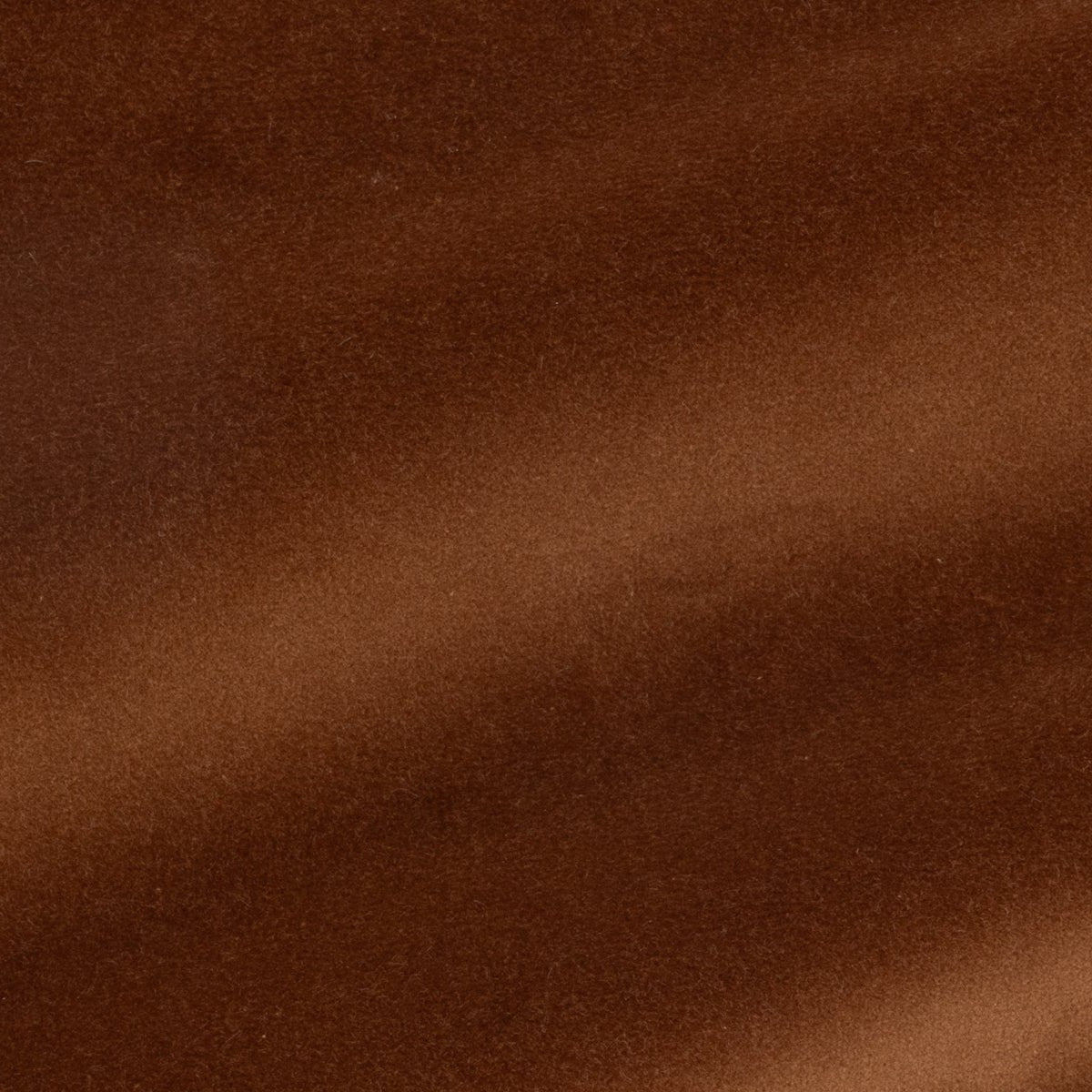 Glant Cotton Velvet - Umber