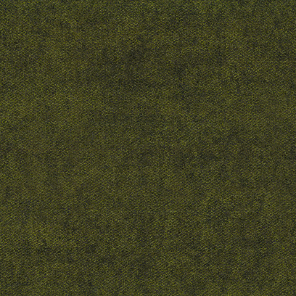 Apparence Vert Olive