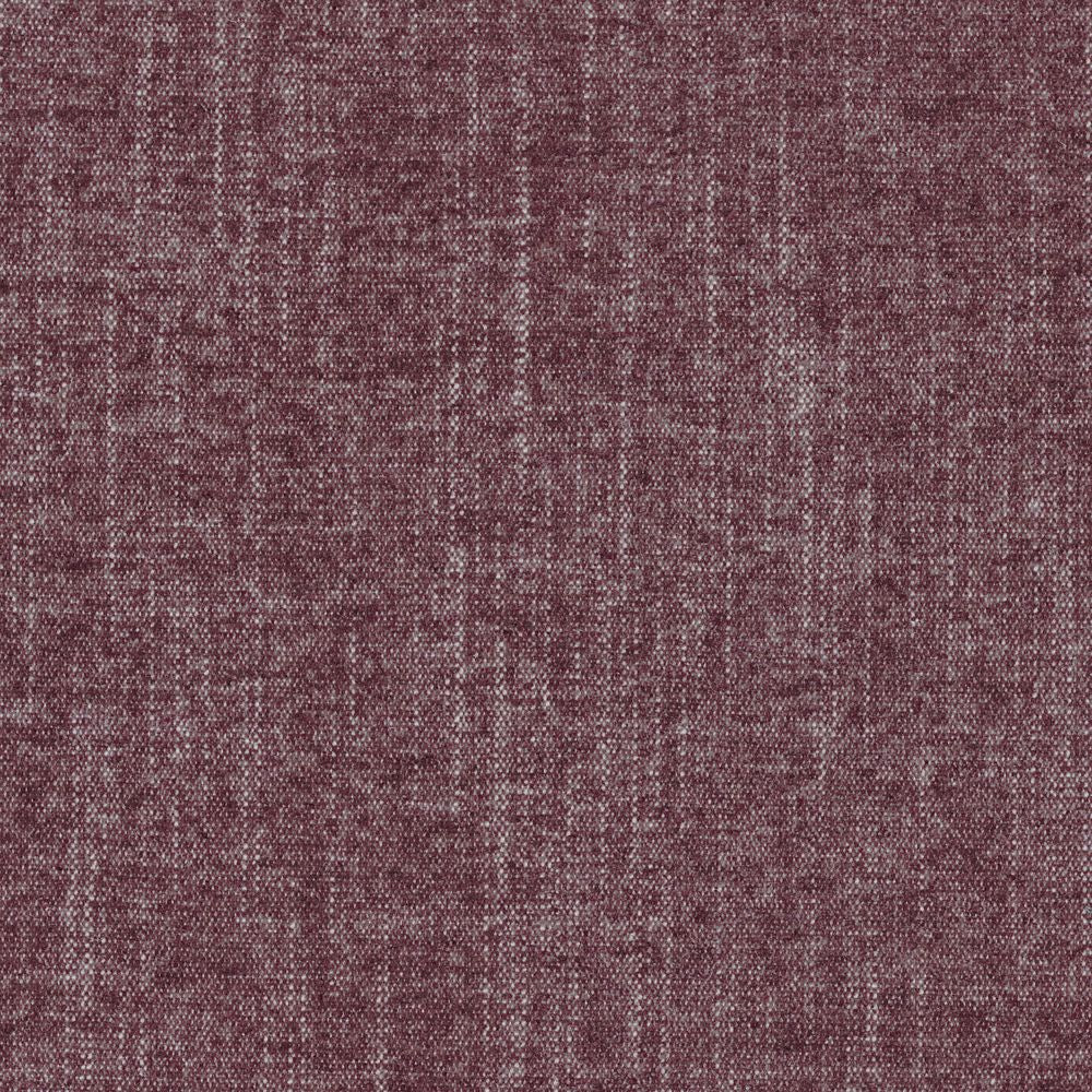 Exclusive Horthensia