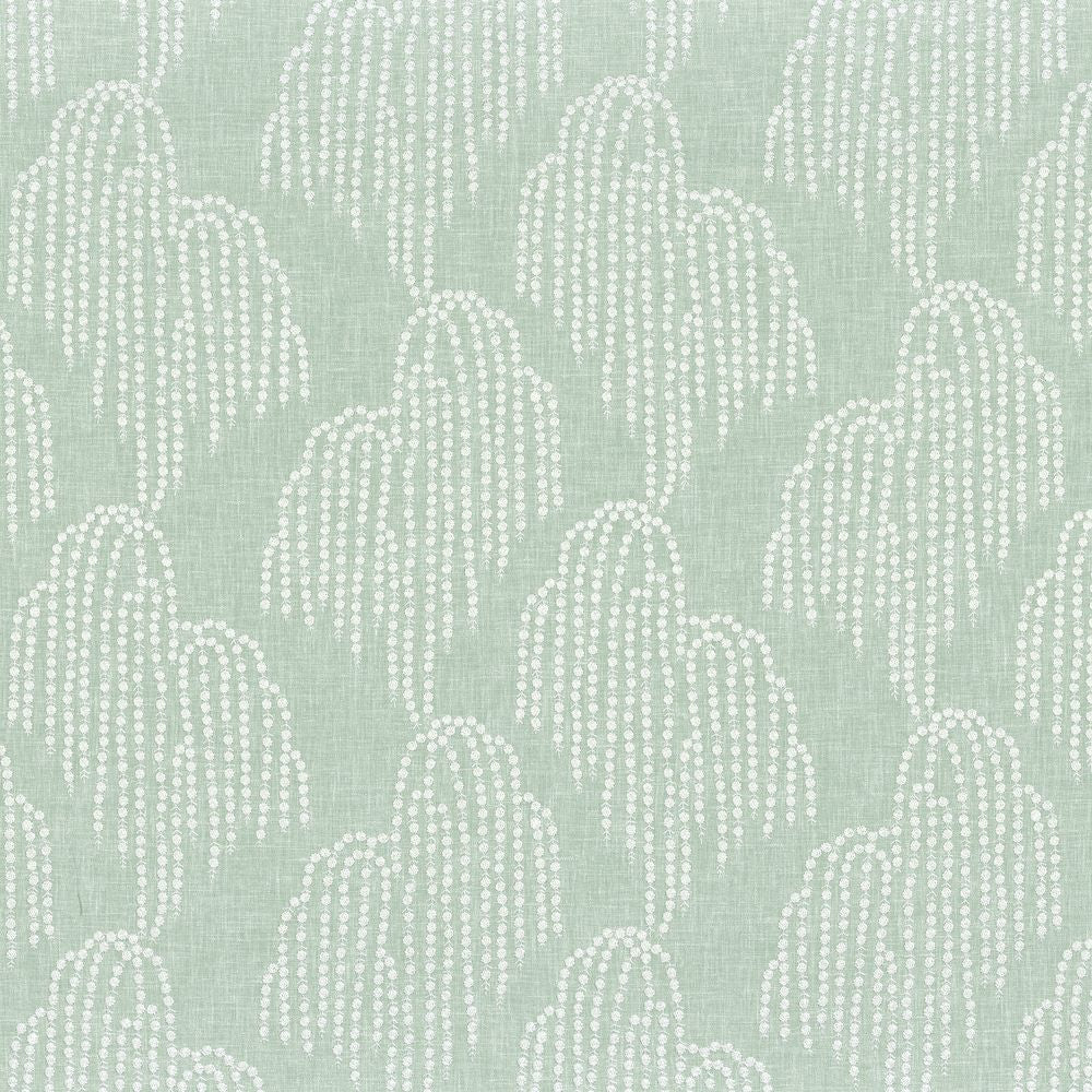 Saule Pleureur Céladon