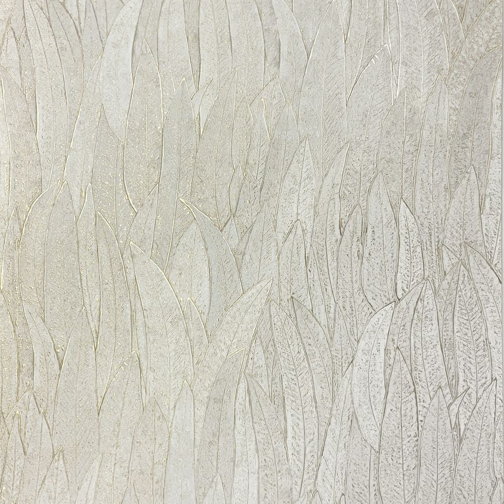 Cinerea Ivoire / Doré